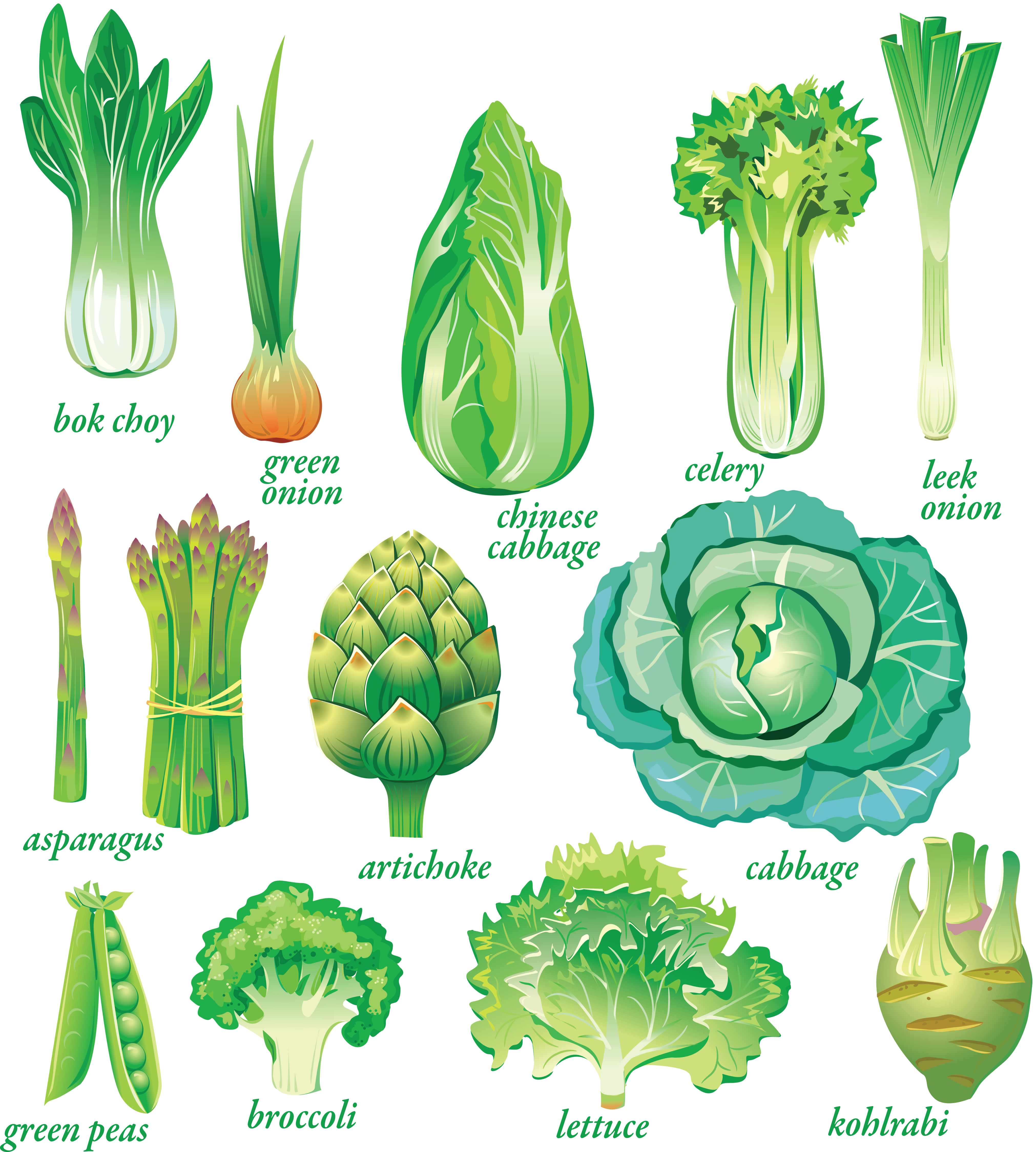 Зелень фото для салатов